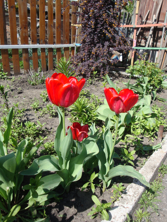 Гостим в Кировограде