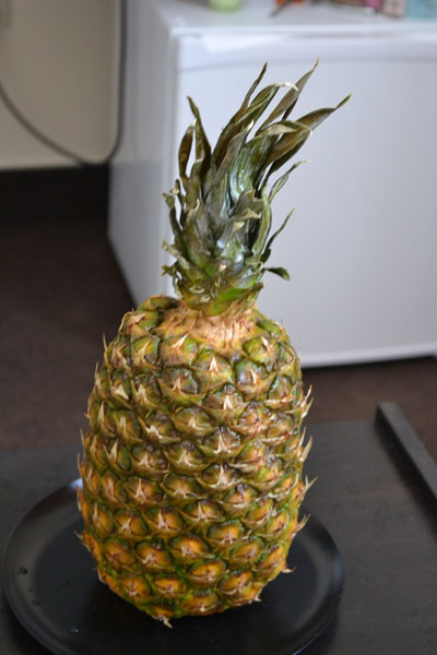 Наш отдых в Ейске