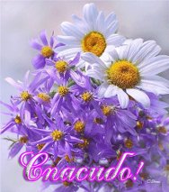 моя благодарность!!!!!!!!!!