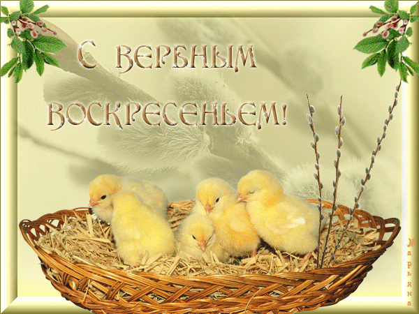 С вербным воскресеньем!!!