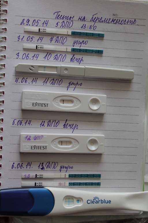 Тестики и полосочки)