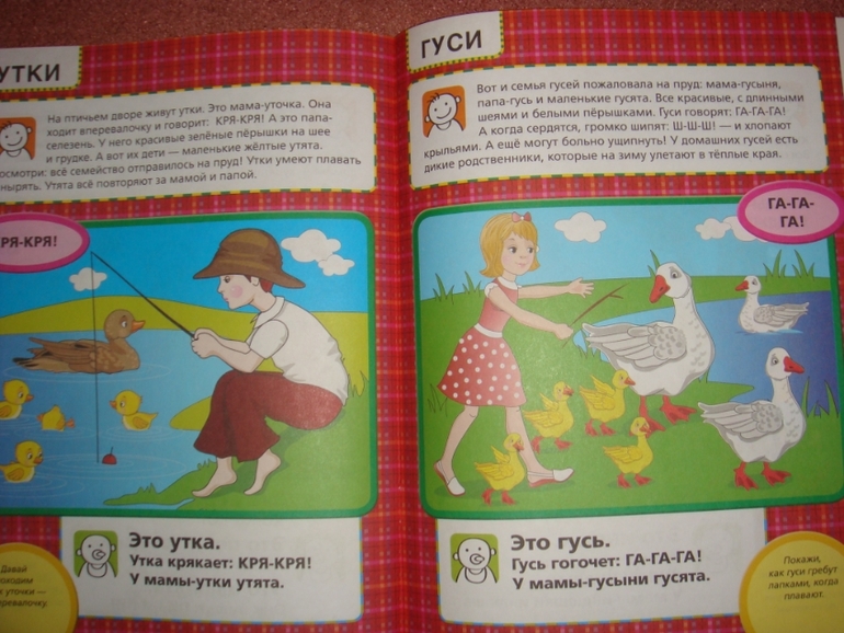 Новый ребенок. Гений с пеленок.