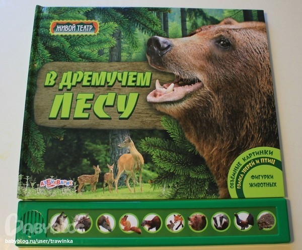 Очень красивые книги-панорамки.