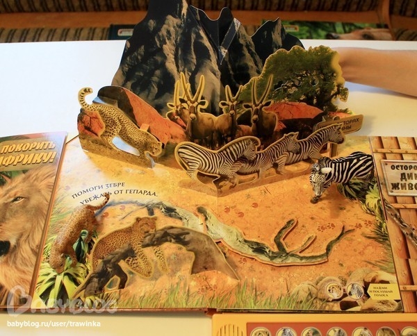 Очень красивые книги-панорамки.