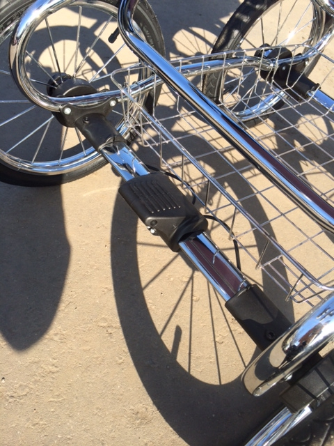 Наша красавица Noordline Edel