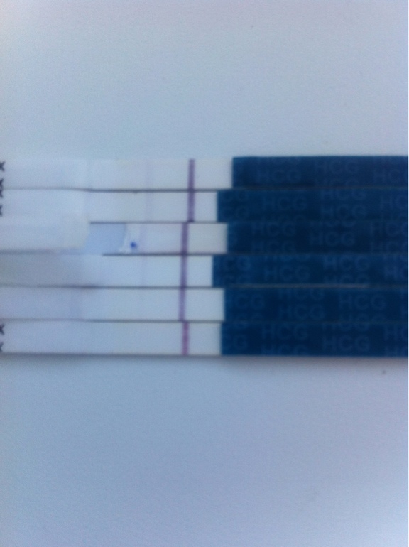 ХГЧ 3,9 на 12ДПП