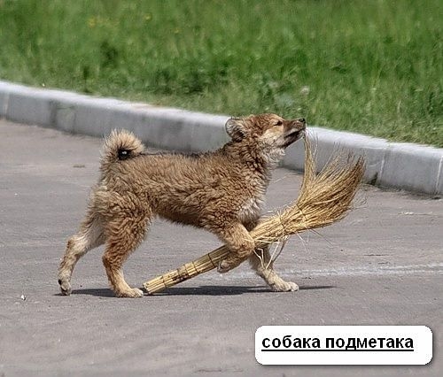 Милашки.