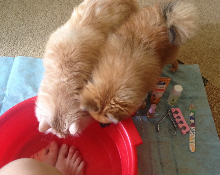 Марафон "Я во всей красе!" День №7.