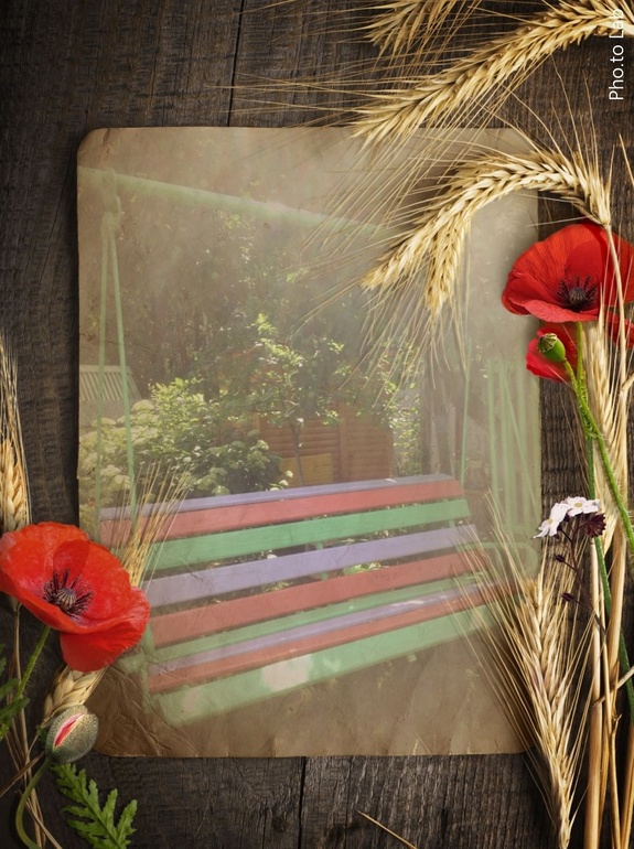 Наш любимый летний домик)