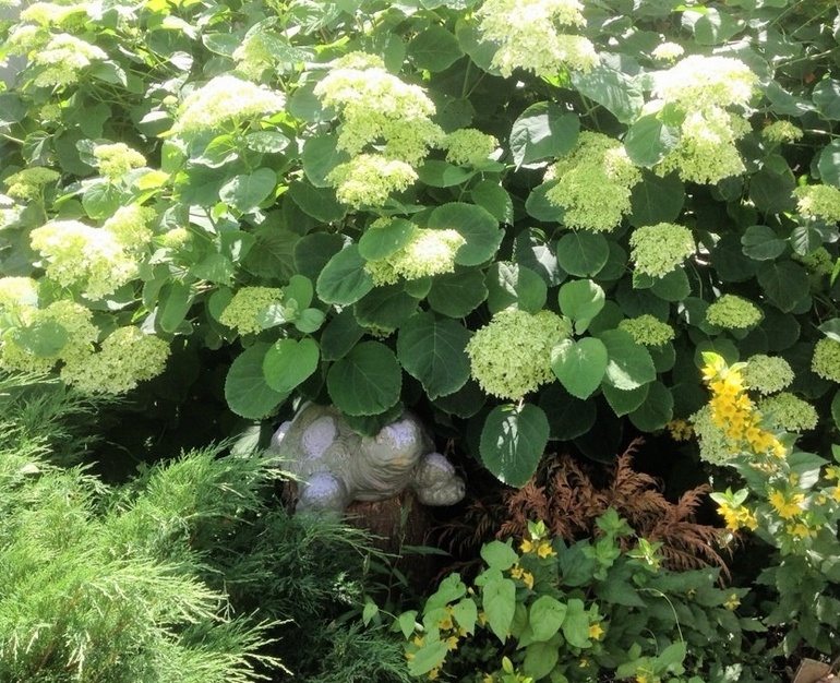 Наш любимый летний домик)