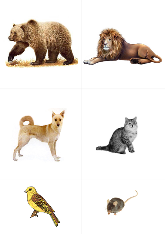 Контуры животных.Подбираем