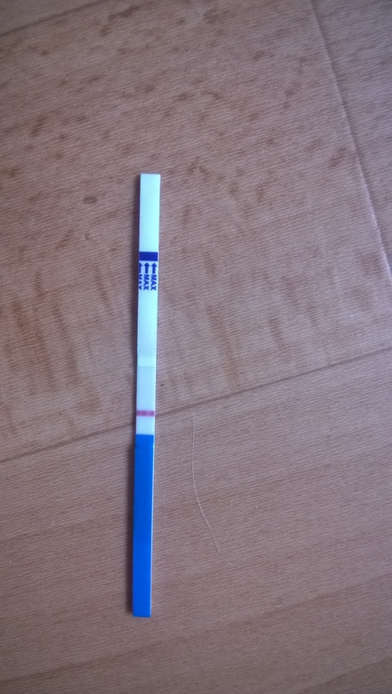 Сегодняшний тест