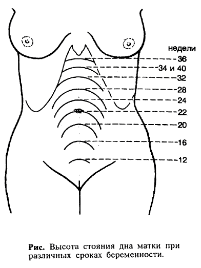 13+2. Небольшой отчет.