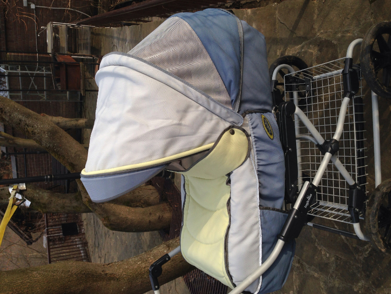 Коляска Инглезина