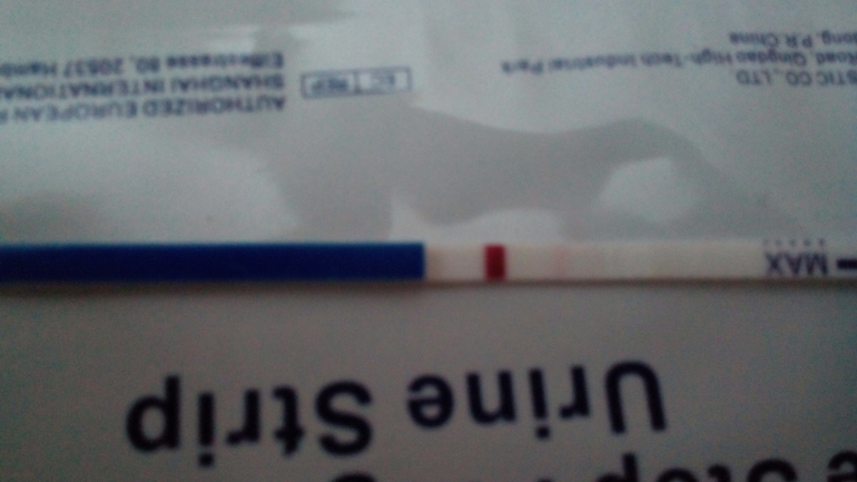 тестик 10ме на 15дпо