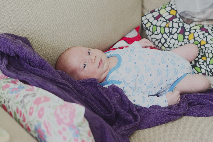 Серенький поссум