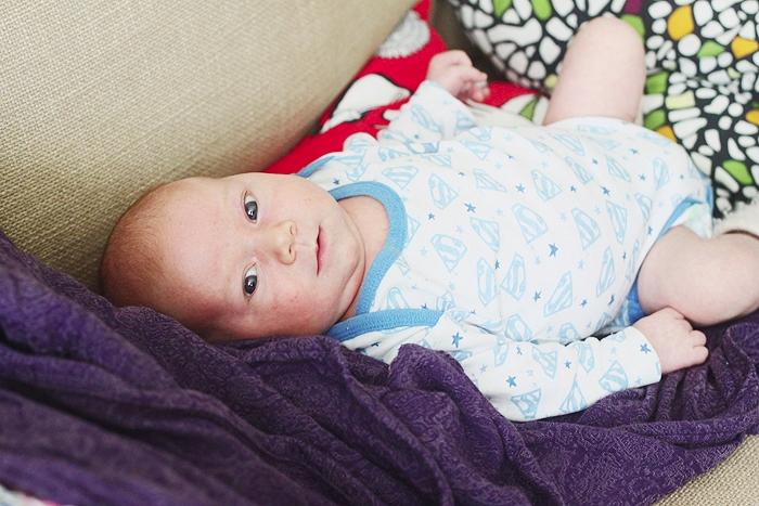 Серенький поссум