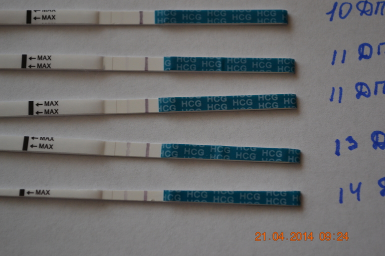 Тестомания добралась и до меня..