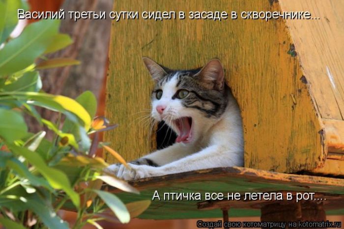 Работа в интернете без вложений! Всё легально! РАБОТАТЬ НУЖНО! Любителей халявы, просьба не беспокоить. Более подробную информацию отправлю Вам на эл.почту! Ставьте "Класс", пишите электронку в коментариях - вышлю подробную информацию