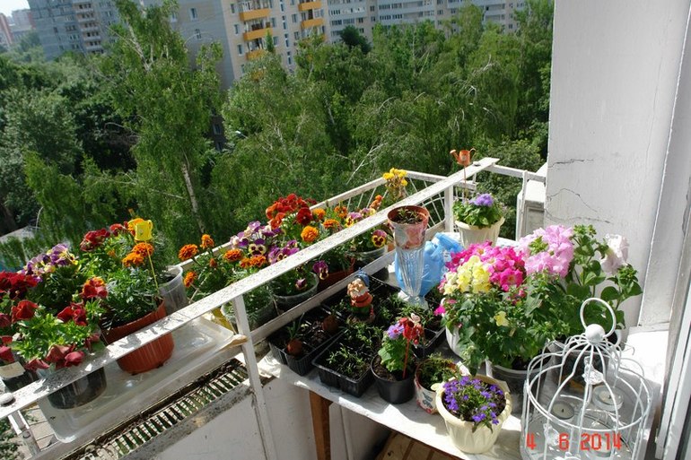 Моё летнее хобби