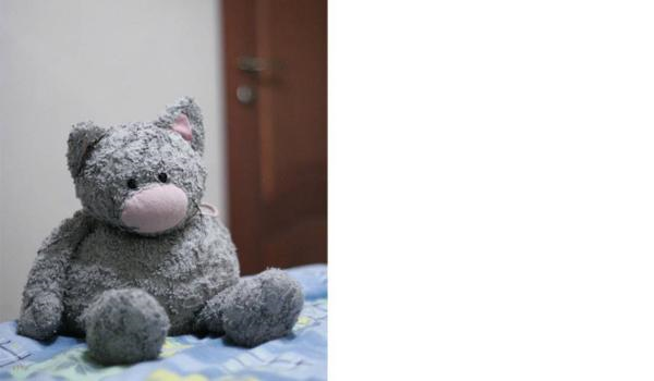 Cody cat блокбастер