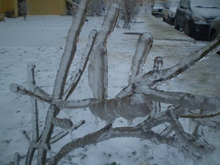 Ледяная зима в Одессе