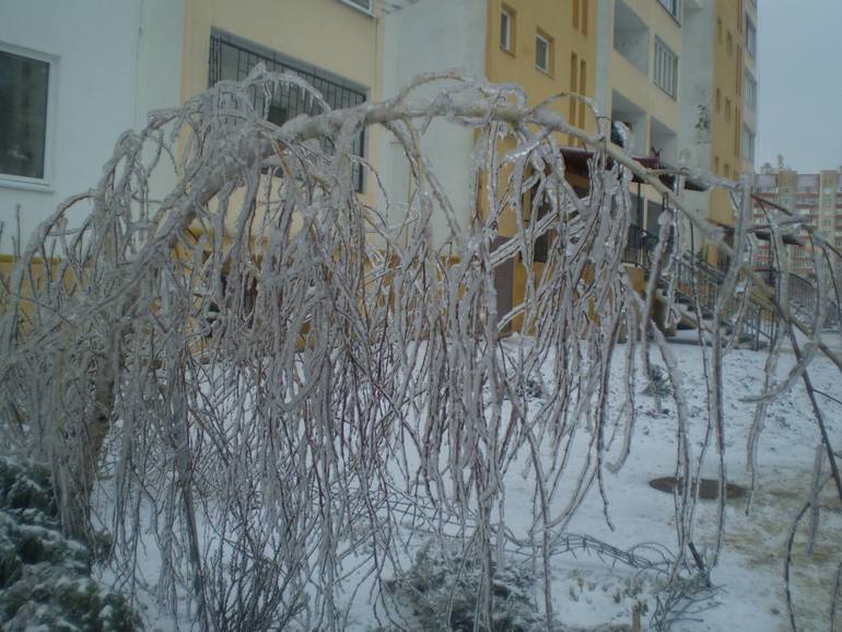 Ледяная зима в Одессе