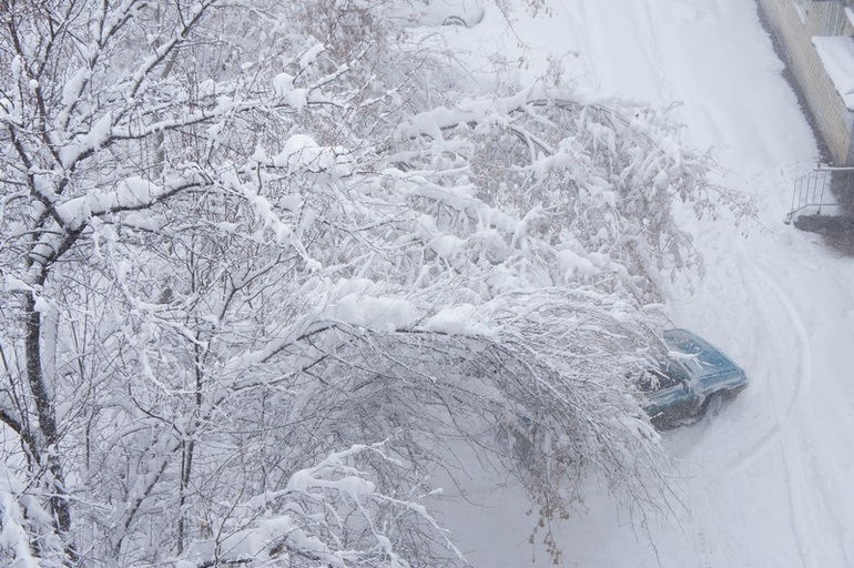 Зима недаром злится.......уж май в окно стучится