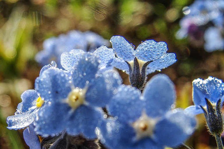 вот такая у нас весна-красна