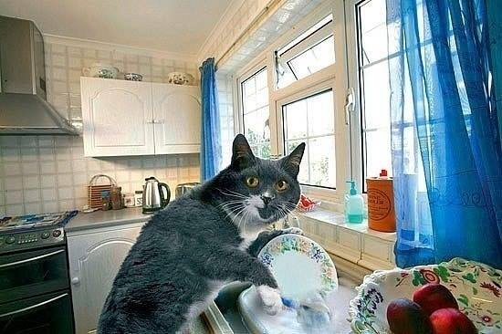 А Вы все успели перед НГ?!