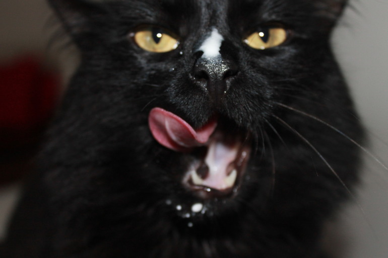 МЫ ПРОТРЕЗВЕЛИ)))