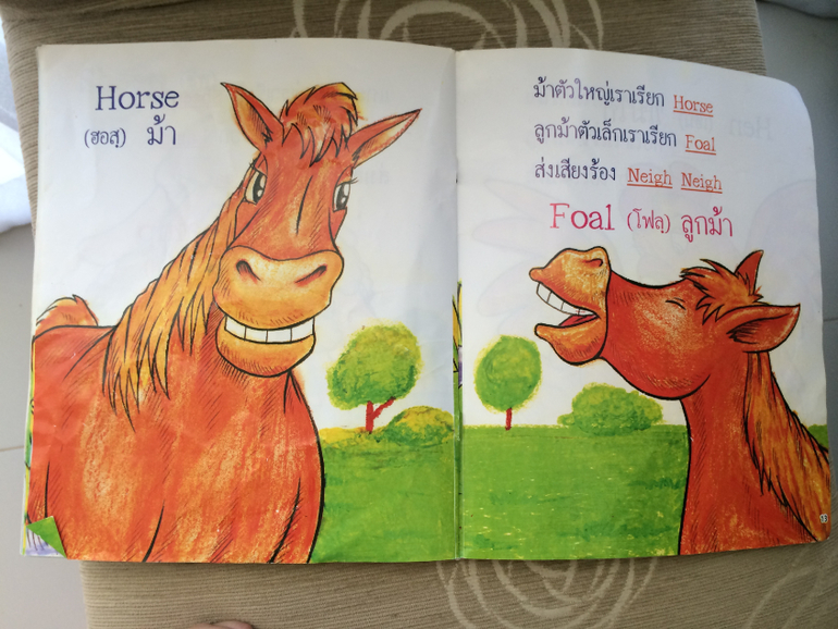 Наши Тайские книжки :)