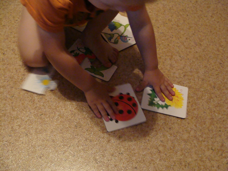 ТЗ "Бабочки-красавицы" проекта "Гуляем-изучаем"