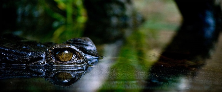 Приветствую всех!