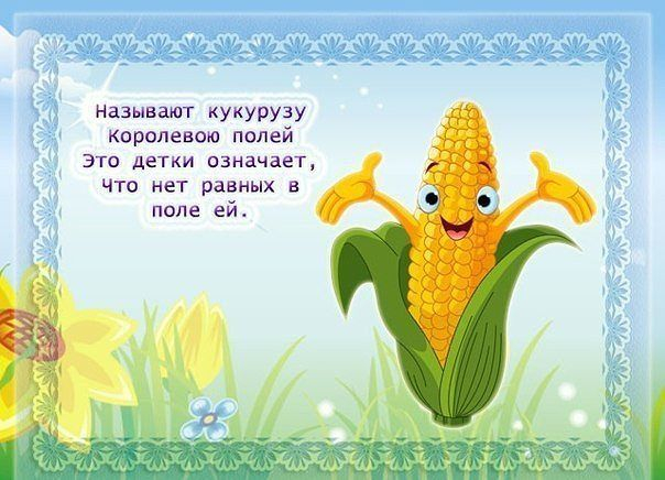 Веселые стихотворения про овощи.