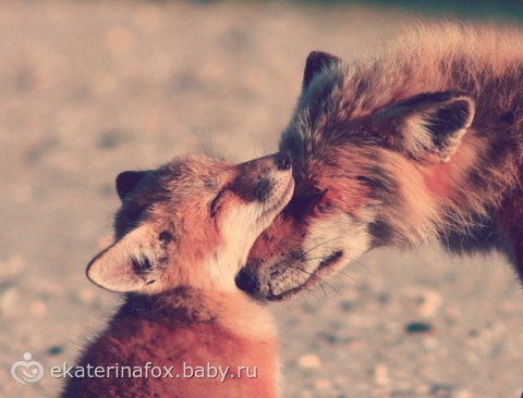Чарльз Диккенс