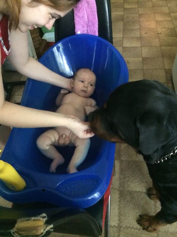 Четвероногий нянь