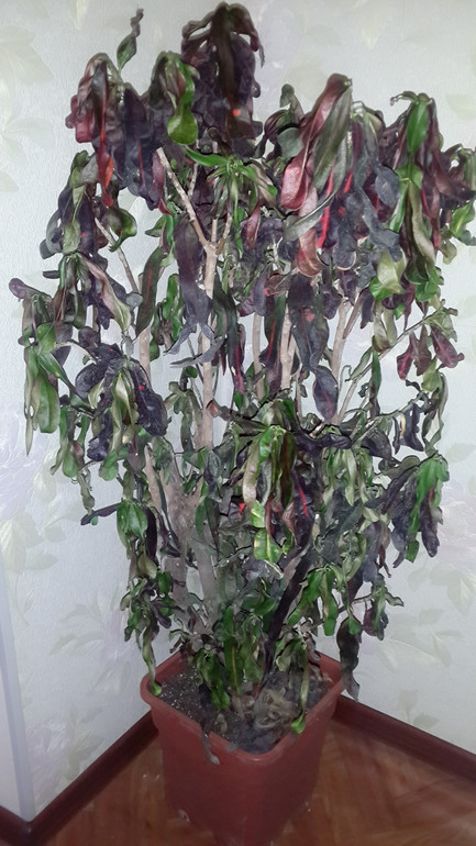 незнаю че делать</div></div> <div tabindex=