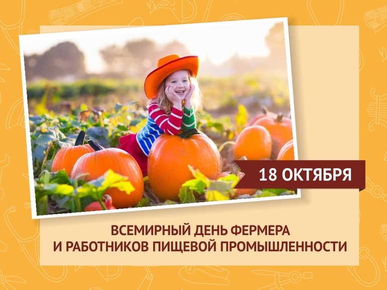Укрепление грунтов своими руками Укрепление грунтов своими руками