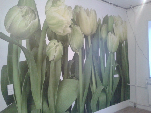 Фотообои Komar. Отзыв.