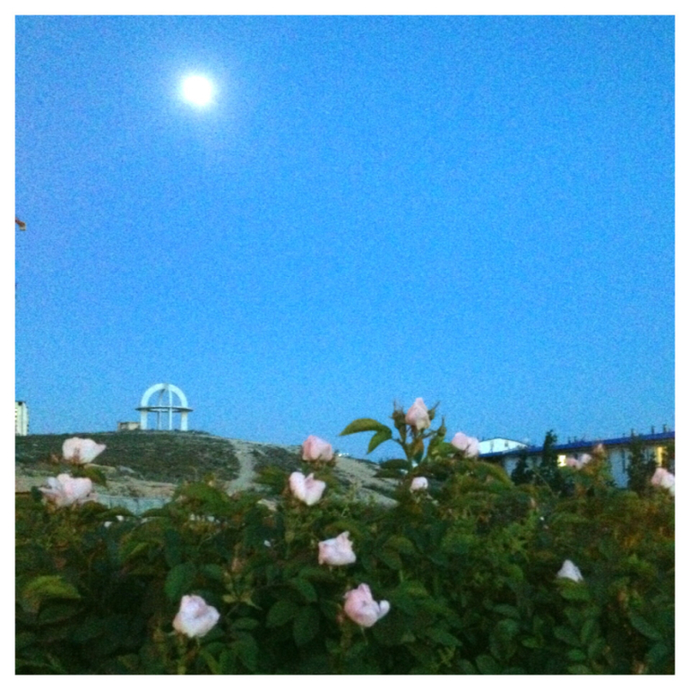 Вечерние зарисовки...