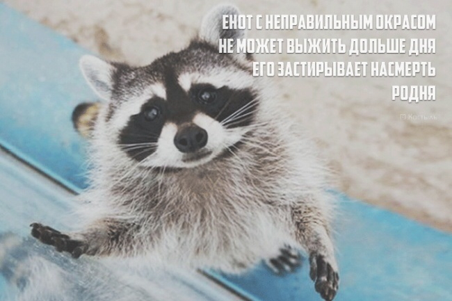 Прям....вот прям!!! Гы гы :-))