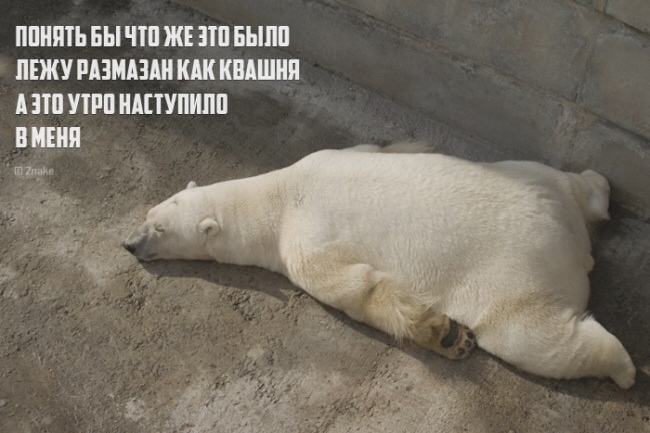 Прям....вот прям!!! Гы гы :-))