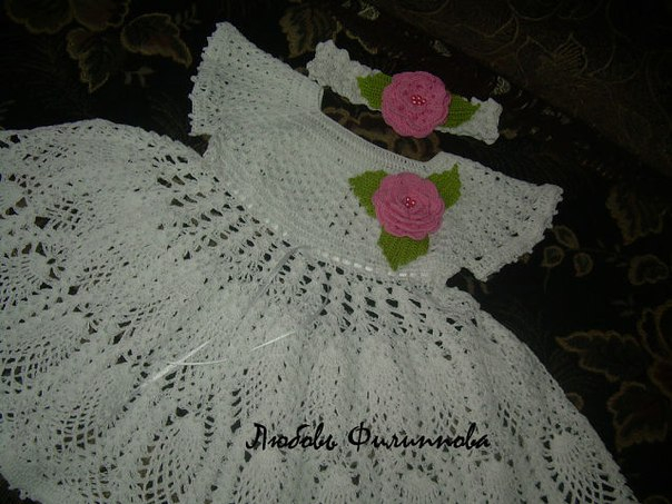 где найти золотуй середину