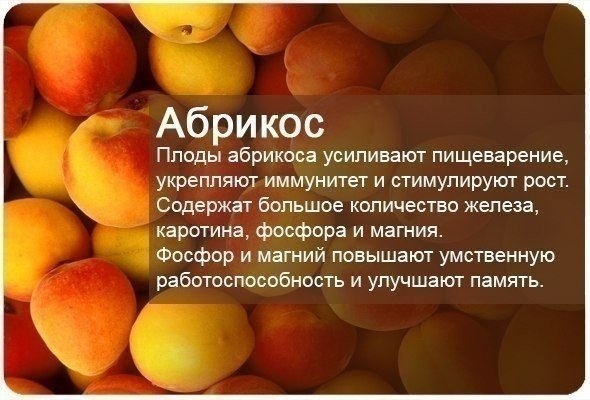 Полезные свойства фруктов