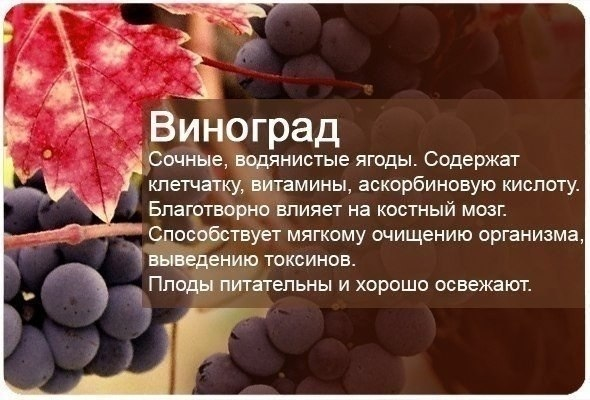 Полезные свойства фруктов