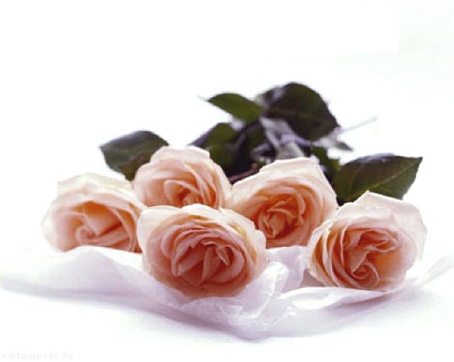 Мы вернулись :)