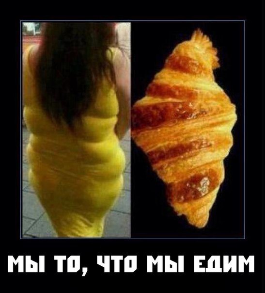 Старт 20.01 4 неделя 2 день