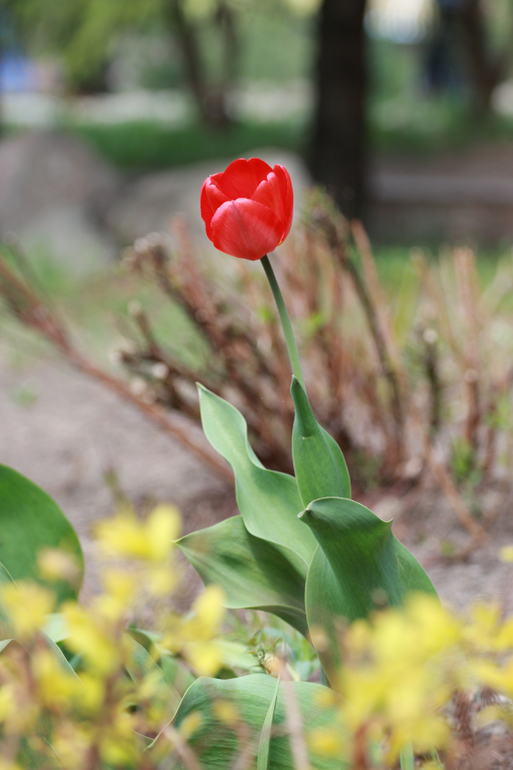 Майские денечки