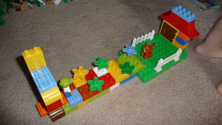 ТН Домашние любимцы - День 2 - Котята